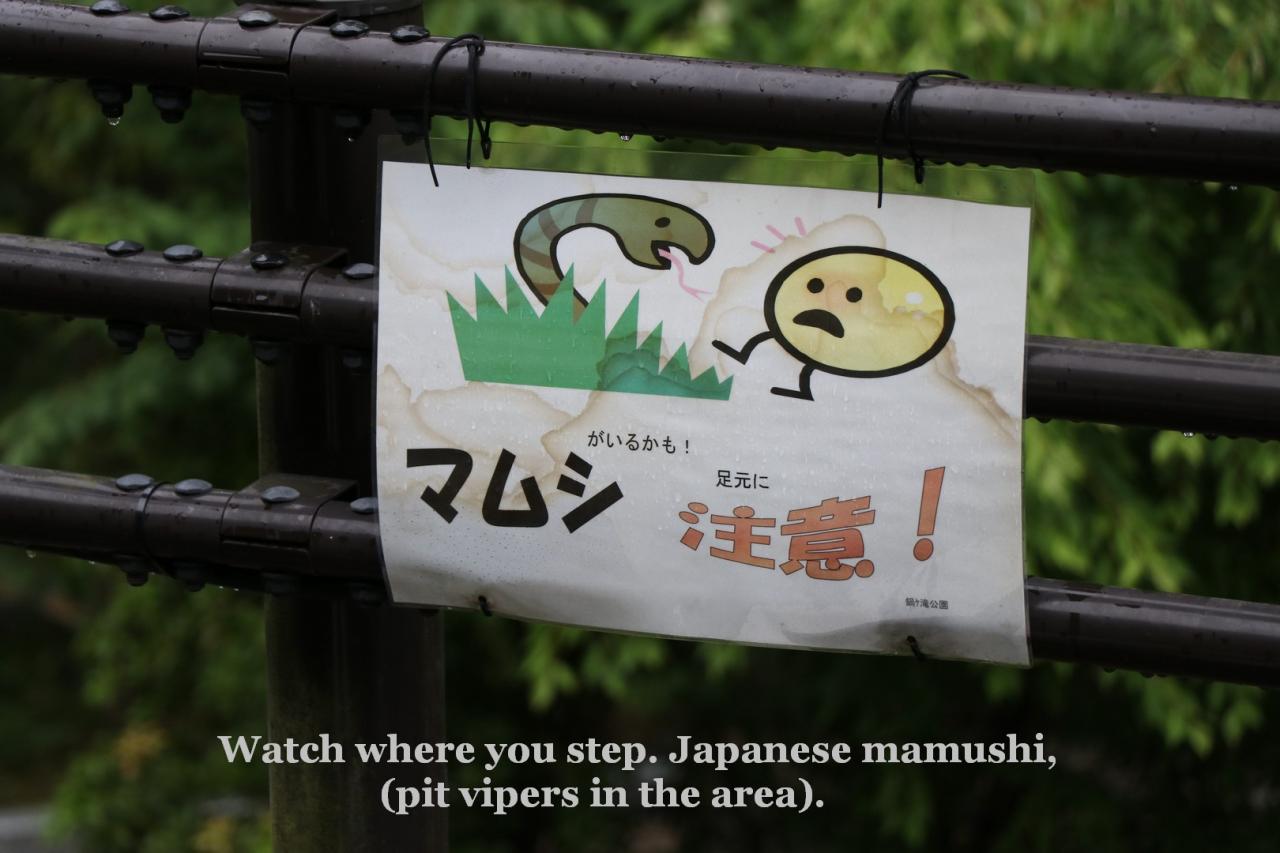 Mamushi meaning
